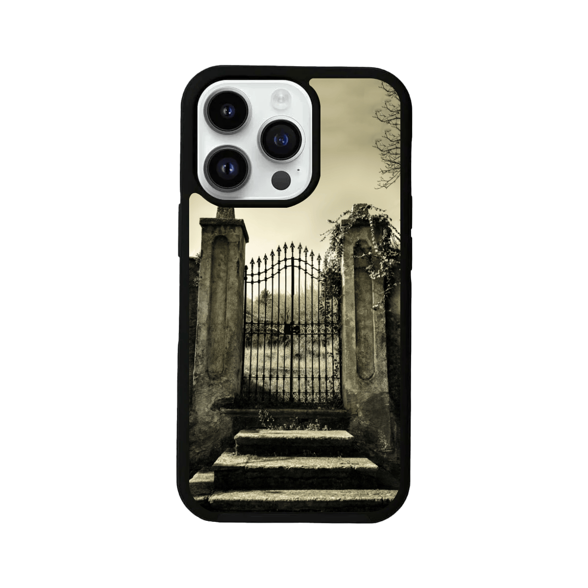 Scary Antique Gate Monotone Glass Case